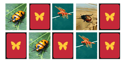 Memory games online for kindergarten kids: Bugs!