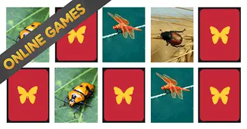 Memory games online for kindergarten kids: Bugs!